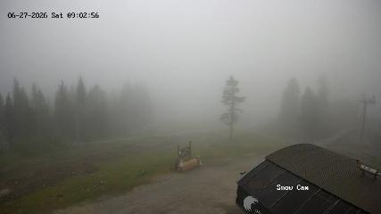 Grouse Mountain: Snow Cam (grousemountain.com)