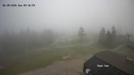 Grouse Mountain: Snow Cam (grousemountain.com)