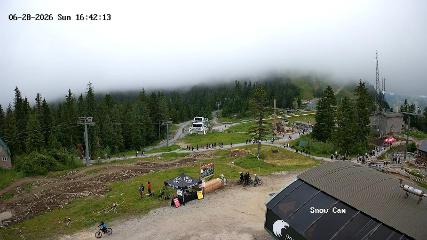 Grouse Mountain: Snow Cam (grousemountain.com)