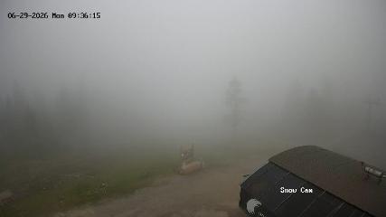 Grouse Mountain: Snow Cam (grousemountain.com)