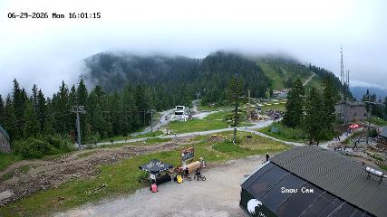 Grouse Mountain: Snow Cam (grousemountain.com)