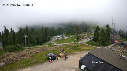 Grouse Mountain: Snow Cam (grousemountain.com)