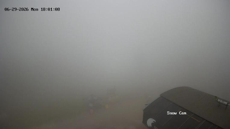 Webcam Grouse Mountain: Snow Cam