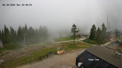 Grouse Mountain: Snow Cam (grousemountain.com)