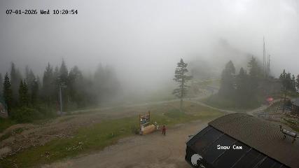 Grouse Mountain: Snow Cam (grousemountain.com)