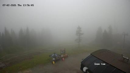 Grouse Mountain: Snow Cam (grousemountain.com)
