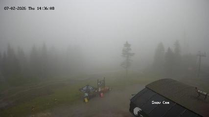 Grouse Mountain: Snow Cam (grousemountain.com)