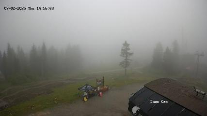 Grouse Mountain: Snow Cam (grousemountain.com)