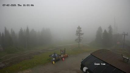 Grouse Mountain: Snow Cam (grousemountain.com)