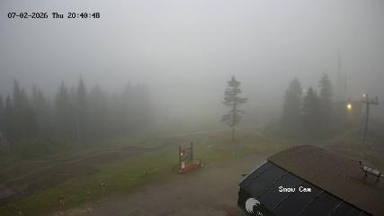 Grouse Mountain: Snow Cam (grousemountain.com)