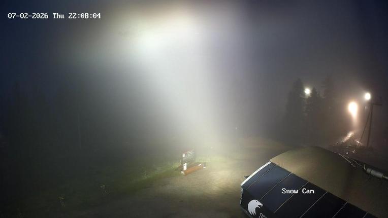 Webcam Grouse Mountain: Snow Cam