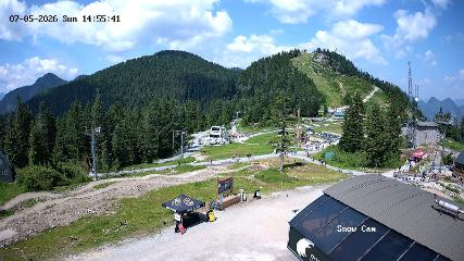 Grouse Mountain: Snow Cam (grousemountain.com)