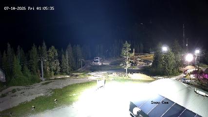Grouse Mountain: Snow Cam (grousemountain.com)