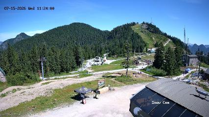 Grouse Mountain webcam