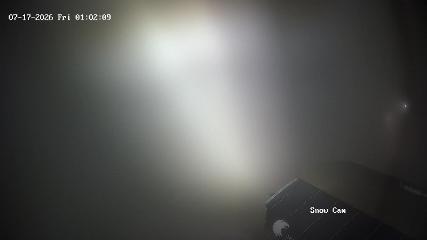 Grouse Mountain: Snow Cam (grousemountain.com)