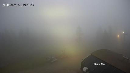 Grouse Mountain: Snow Cam (grousemountain.com)