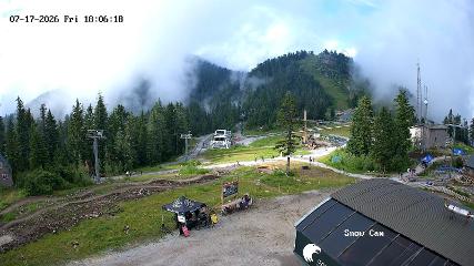 Grouse Mountain: Snow Cam (grousemountain.com)