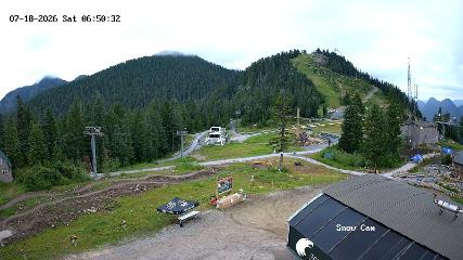 Grouse Mountain: Snow Cam (grousemountain.com)