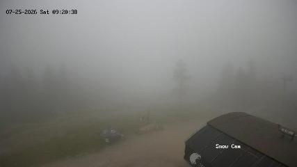 Grouse Mountain: Snow Cam (grousemountain.com)
