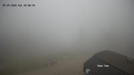 Grouse Mountain: Snow Cam (grousemountain.com)