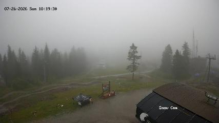Grouse Mountain: Snow Cam (grousemountain.com)