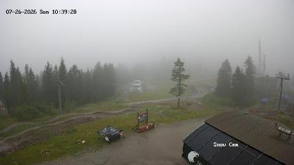 Grouse Mountain: Snow Cam (grousemountain.com)