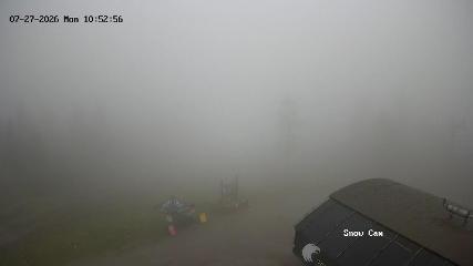 Grouse Mountain: Snow Cam (grousemountain.com)
