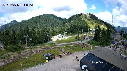 Grouse Mountain: Snow Cam (grousemountain.com)