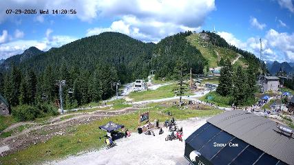 Grouse Mountain: Snow Cam (grousemountain.com)