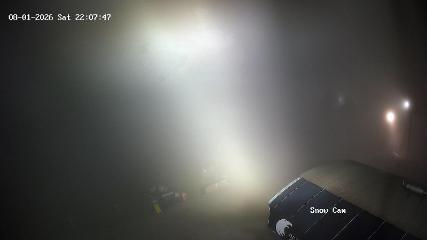 Grouse Mountain: Snow Cam (grousemountain.com)