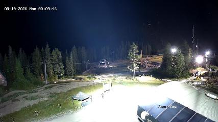 Grouse Mountain: Snow Cam (grousemountain.com)
