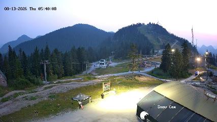 Grouse Mountain: Snow Cam (grousemountain.com)