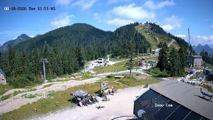 Grouse Mountain: Snow Cam (grousemountain.com)