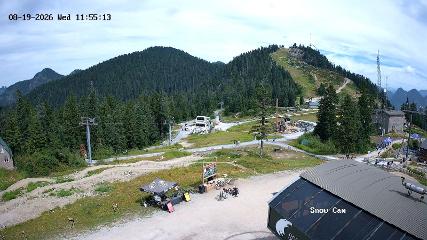 Grouse Mountain: Snow Cam (grousemountain.com)