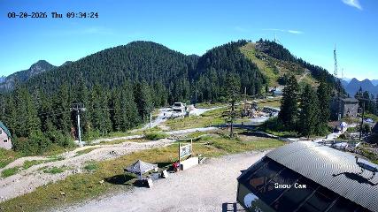 Grouse Mountain: Snow Cam (grousemountain.com)
