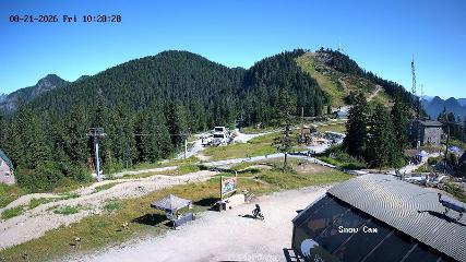 Grouse Mountain: Snow Cam (grousemountain.com)