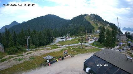 Grouse Mountain: Snow Cam (grousemountain.com)