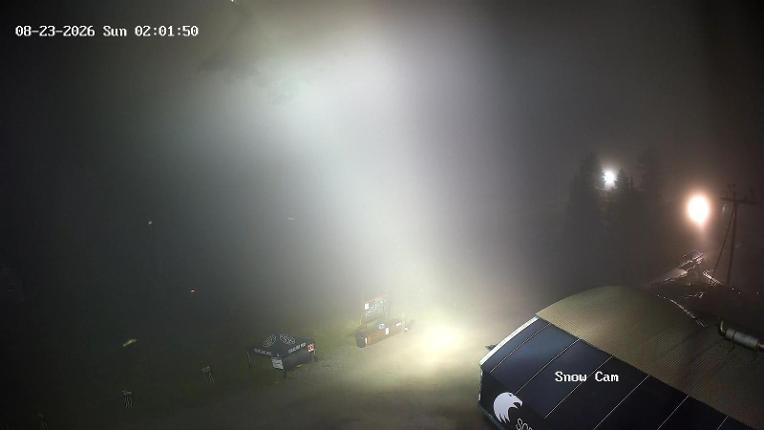 Webcam Grouse Mountain: Snow Cam