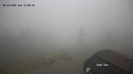 Grouse Mountain: Snow Cam (grousemountain.com)
