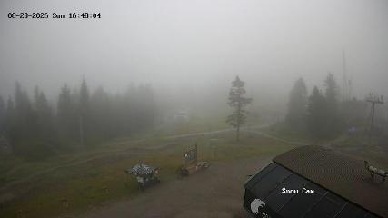 Grouse Mountain: Snow Cam (grousemountain.com)