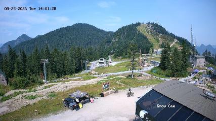 Grouse Mountain: Snow Cam (grousemountain.com)