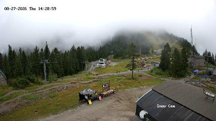 Grouse Mountain: Snow Cam (grousemountain.com)
