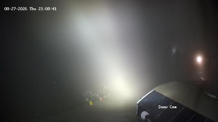Grouse Mountain: Snow Cam (grousemountain.com)