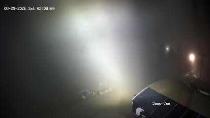 Grouse Mountain webcam