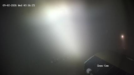 Grouse Mountain: Snow Cam (grousemountain.com)