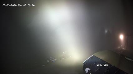 Grouse Mountain: Snow Cam (grousemountain.com)