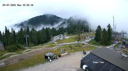 Grouse Mountain: Snow Cam (grousemountain.com)