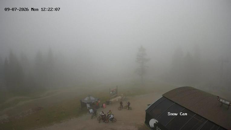 Webcam Grouse Mountain: Snow Cam