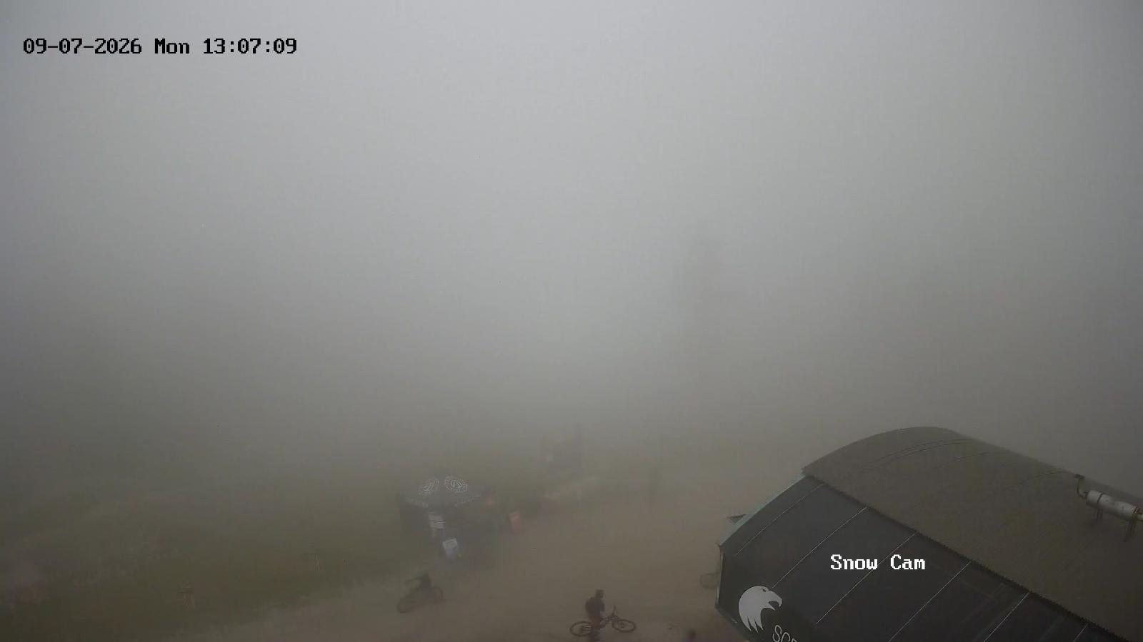 Webcam Grouse Mountain: Snow Cam