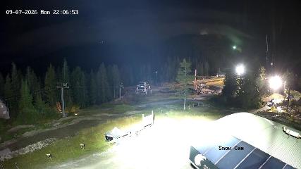 Grouse Mountain: Snow Cam (grousemountain.com)